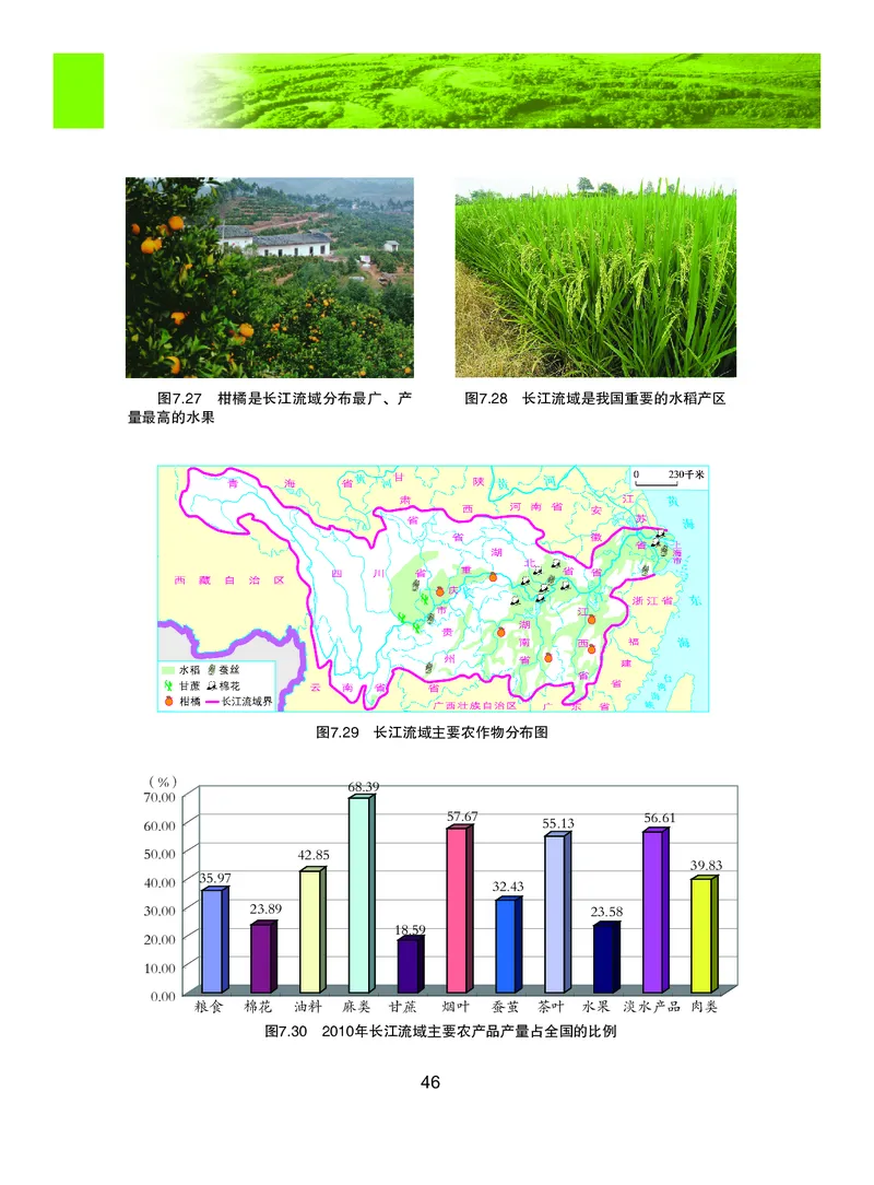 粤教版8年级地理下册高清教材_4-教培资料-26年最新资料-同步更新_初中高中教资_03科三专项（进去保存报考的学科即可）_02科三专项（笔记真题思维导图教学设计版本二）