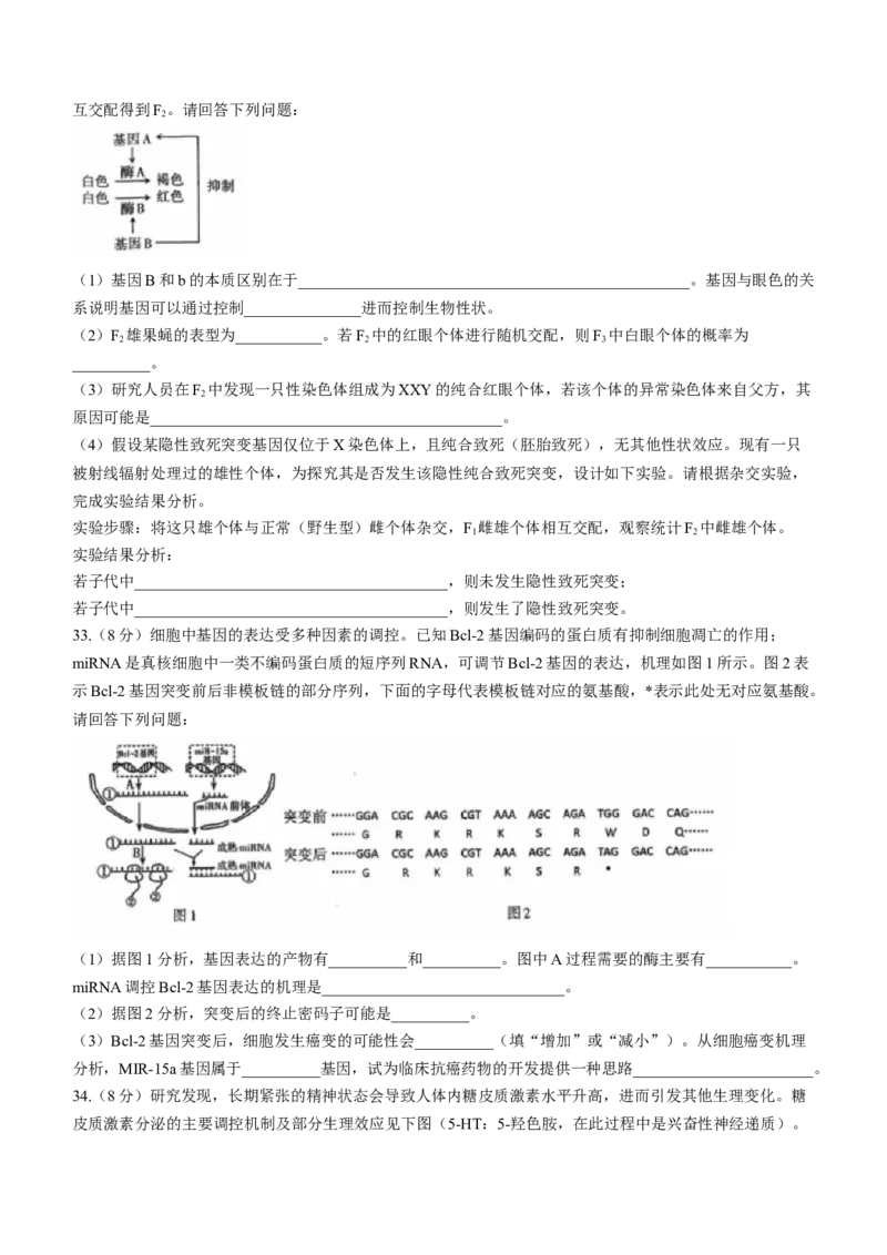 山西省太原市2024届高三上学期期末学业诊断生物_2024届山西省太原市高三上学期期末学业诊断