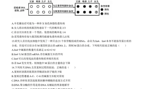山西省太原市2024届高三上学期期末学业诊断生物_2024届山西省太原市高三上学期期末学业诊断