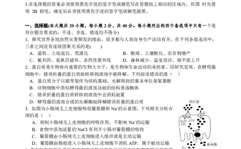 生物试题_2024届浙江省义乌中学高三上学期首考适应性考试_浙江省义乌中学2024届高三上学期首考适应性考试生物