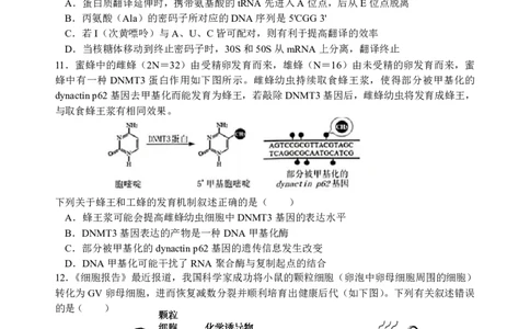 生物试题_2024届浙江省义乌中学高三上学期首考适应性考试_浙江省义乌中学2024届高三上学期首考适应性考试生物