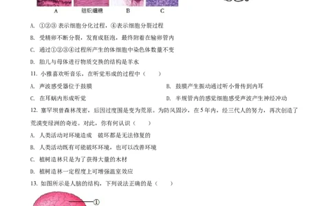 精品解析：2022年湖南省娄底市中考生物真题（原卷版）_中考真题_8.生物中考真题2015-2024年_2022年全国中考生物114份14