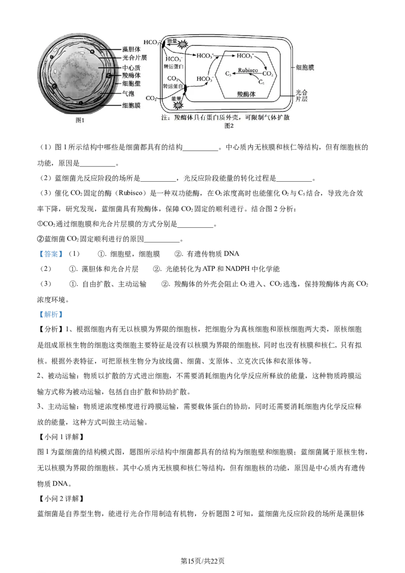 精品解析：黑龙江省哈尔滨市三中2023-2024学年高三1月期末生物试题（解析版）_2024届黑龙江省哈尔滨市第三中学校高三上学期1月期末
