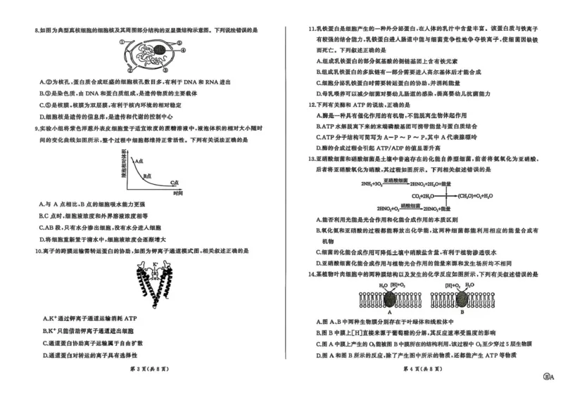 百师联盟2025-2026学年高三上学期9月调研考试生物试题（百A）_2025年10月_251001百师联盟2025-2026学年高三9月调研考试