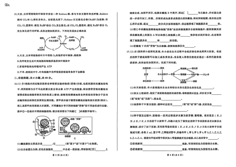 百师联盟2025-2026学年高三上学期9月调研考试生物试题（百A）_2025年10月_251001百师联盟2025-2026学年高三9月调研考试