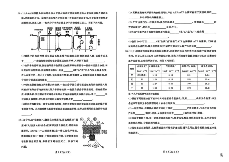 百师联盟2025-2026学年高三上学期9月调研考试生物试题（百A）_2025年10月_251001百师联盟2025-2026学年高三9月调研考试