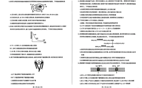 百师联盟2025-2026学年高三上学期9月调研考试生物试题（百A）_2025年10月_251001百师联盟2025-2026学年高三9月调研考试