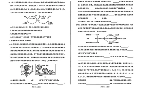 百师联盟2025-2026学年高三上学期9月调研考试生物试题（百A）_2025年10月_251001百师联盟2025-2026学年高三9月调研考试
