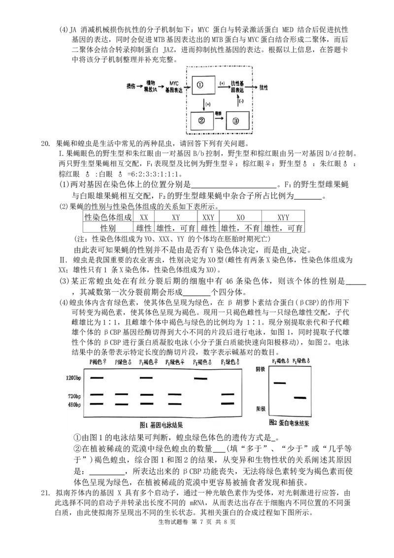 湖南省株洲市2023-2024学年高三上学期教学质量统一检测（一）生物试题_2024届湖南省株洲市高三上学期教学质量统一检测（一）_湖南省株洲市2024届高三上学期教学质量统一检测（一）生物