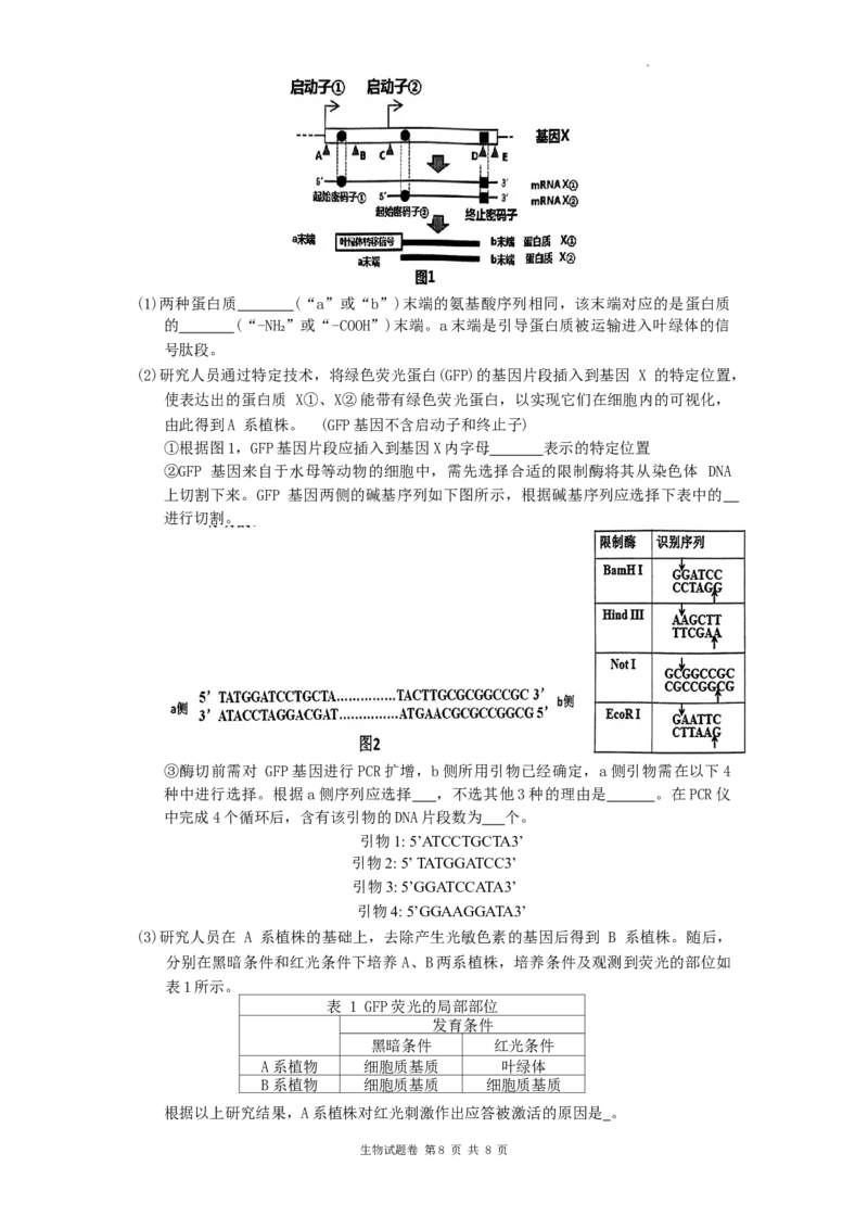 湖南省株洲市2023-2024学年高三上学期教学质量统一检测（一）生物试题_2024届湖南省株洲市高三上学期教学质量统一检测（一）_湖南省株洲市2024届高三上学期教学质量统一检测（一）生物