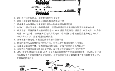 湖南省株洲市2023-2024学年高三上学期教学质量统一检测（一）生物试题_2024届湖南省株洲市高三上学期教学质量统一检测（一）_湖南省株洲市2024届高三上学期教学质量统一检测（一）生物