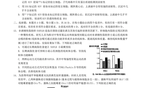 湖南省株洲市2023-2024学年高三上学期教学质量统一检测（一）生物试题_2024届湖南省株洲市高三上学期教学质量统一检测（一）_湖南省株洲市2024届高三上学期教学质量统一检测（一）生物