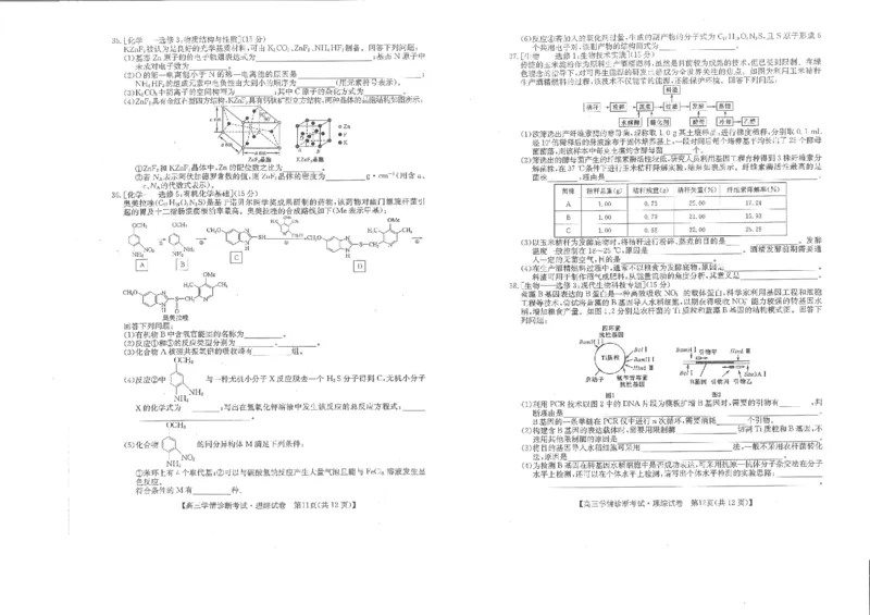 理综-陕西省商洛市2024届高三上学期尖子生学情诊断考试_2024届陕西省商洛市高三上学期尖子生学情诊断考试