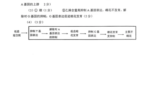 生物答案_2025年12月_251214四川省自贡市普高2026届第一次诊断性考试_四川省自贡市普高2026届第一次诊断性考试生物