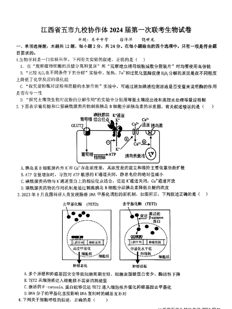 生物-江西省五市九校协作体2023-2024学年高三上学期第一次联考_2024届江西省五市九校协作体高三上学期第一次联考