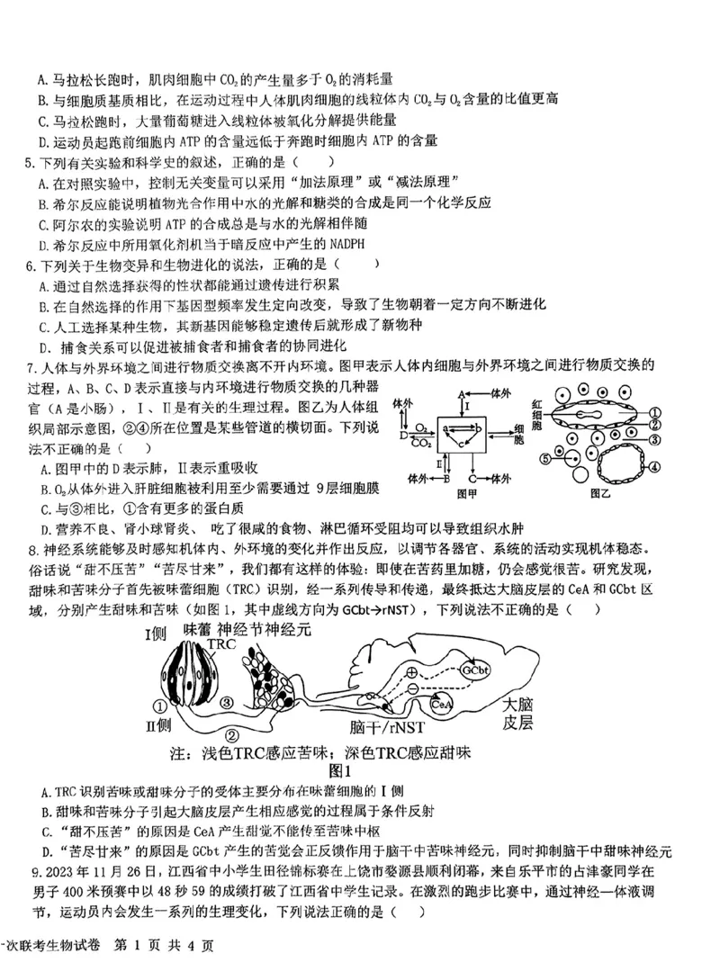 生物-江西省五市九校协作体2023-2024学年高三上学期第一次联考_2024届江西省五市九校协作体高三上学期第一次联考