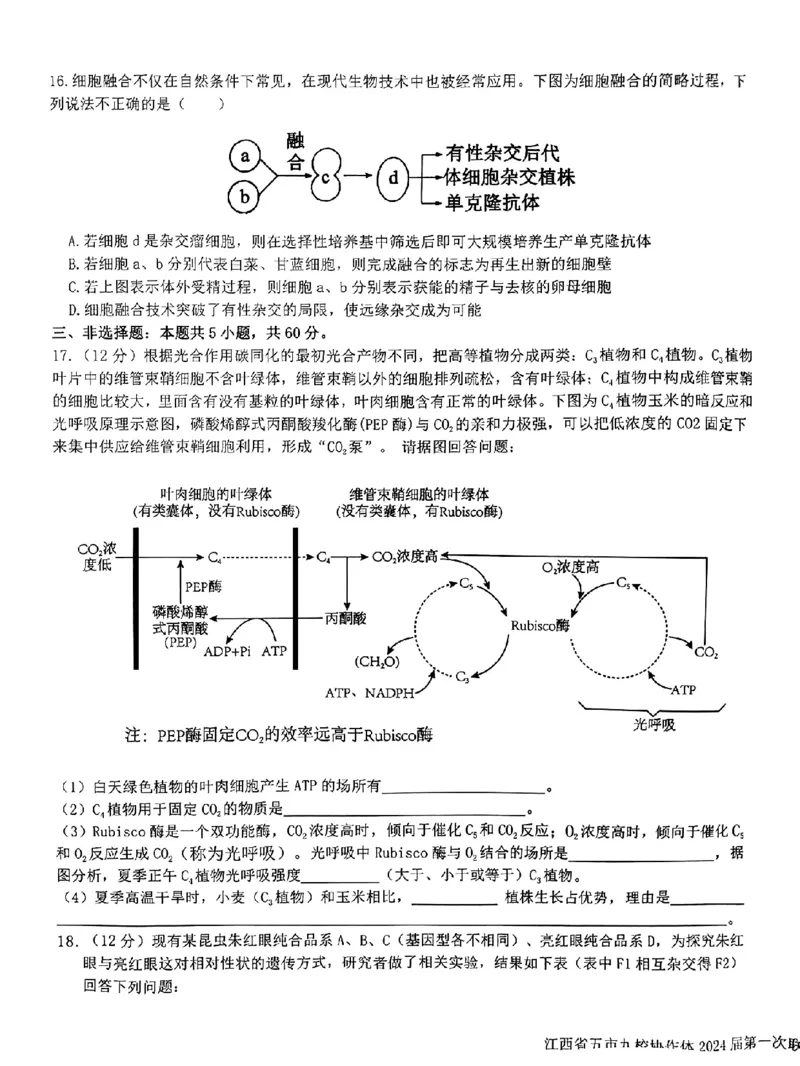 生物-江西省五市九校协作体2023-2024学年高三上学期第一次联考_2024届江西省五市九校协作体高三上学期第一次联考