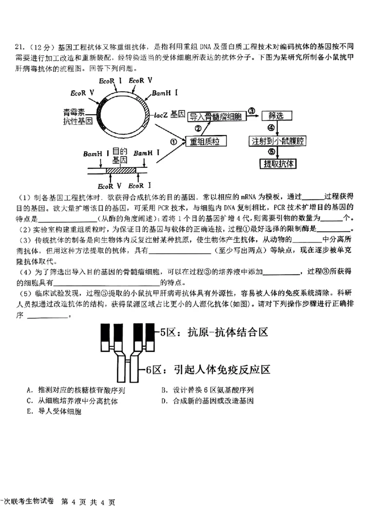 生物-江西省五市九校协作体2023-2024学年高三上学期第一次联考_2024届江西省五市九校协作体高三上学期第一次联考