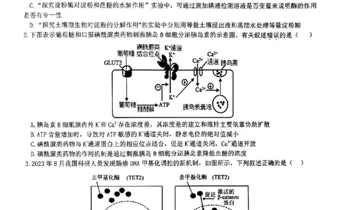 生物-江西省五市九校协作体2023-2024学年高三上学期第一次联考_2024届江西省五市九校协作体高三上学期第一次联考