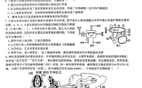 生物-江西省五市九校协作体2023-2024学年高三上学期第一次联考_2024届江西省五市九校协作体高三上学期第一次联考