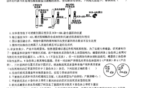 生物-江西省五市九校协作体2023-2024学年高三上学期第一次联考_2024届江西省五市九校协作体高三上学期第一次联考