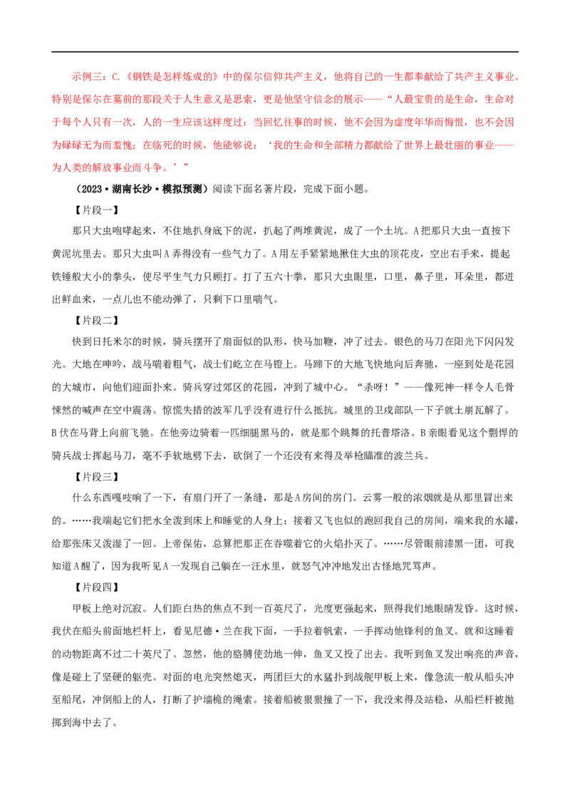 专题04《海底两万里》真题精练（综合题）（解析版）_120中考语文全套复习_中考语文复习总复习_专项复习资料_完2024年中考语文名著阅读知识知识梳理+真题练习_答案解析版