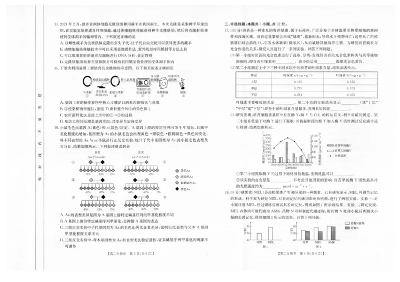 陕西省汉中市2024-2025学年高二下学期期末质量检测生物试卷（含答案）_2025年7月_250710陕西省汉中市2024-2025学年高二下学期期末质量检测（全科）