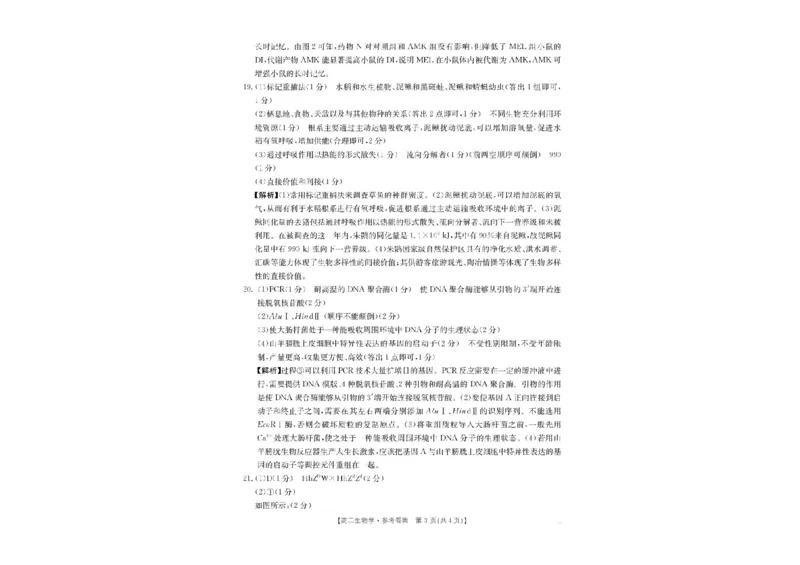 陕西省汉中市2024-2025学年高二下学期期末质量检测生物试卷（含答案）_2025年7月_250710陕西省汉中市2024-2025学年高二下学期期末质量检测（全科）