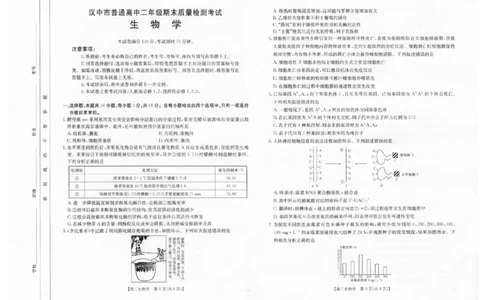 陕西省汉中市2024-2025学年高二下学期期末质量检测生物试卷（含答案）_2025年7月_250710陕西省汉中市2024-2025学年高二下学期期末质量检测（全科）