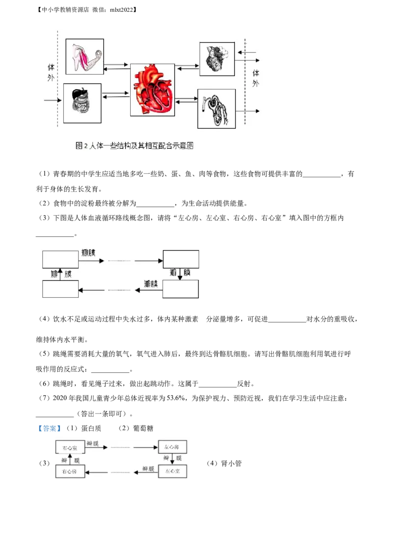 精品解析：2022年湖北省襄阳市中考生物真题（解析版）_中考真题_8.生物中考真题2015-2024年_2022年全国中考生物114份14