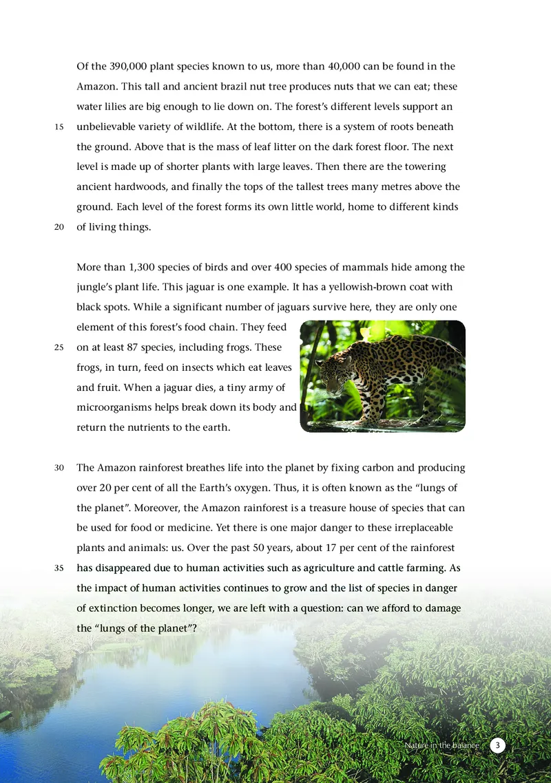 译林版英语必修第三册高清教材_4-教培资料-26年最新资料-同步更新_初中高中教资_03科三专项（进去保存报考的学科即可）_02科三专项（笔记真题思维导图教学设计版本二）