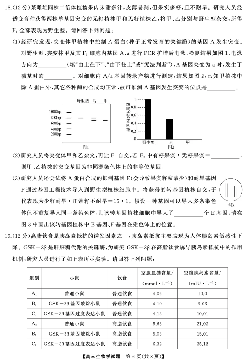 生物（试题）转曲1_2025年7月_250715湖南省&middot;天壹名校联盟2026届高三起点考试（全科）