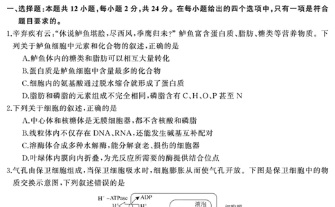 生物（试题）转曲1_2025年7月_250715湖南省&middot;天壹名校联盟2026届高三起点考试（全科）