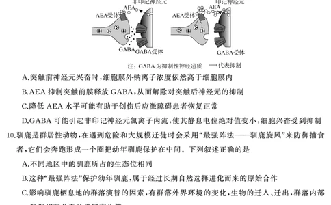 生物（试题）转曲1_2025年7月_250715湖南省&middot;天壹名校联盟2026届高三起点考试（全科）