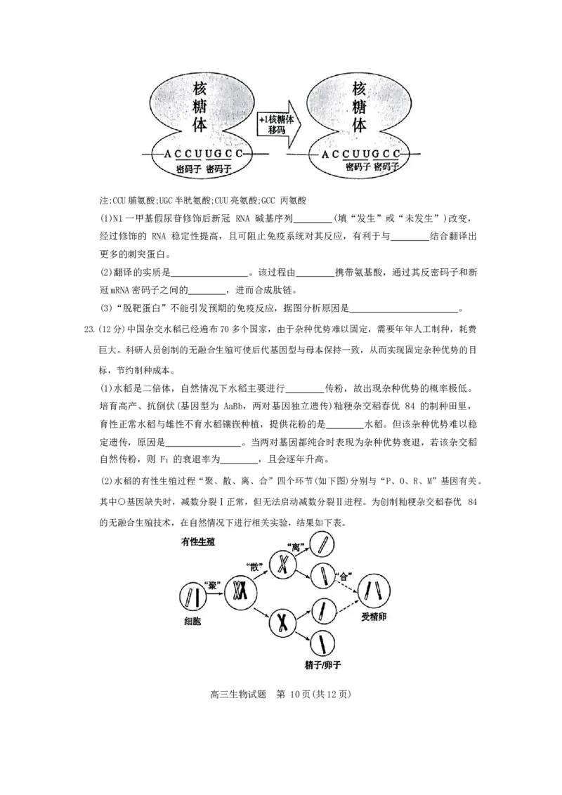 山东省滨州市2023-2024学年高三上学期1月期末考试生物试题_2024届山东省滨州市高三上学期期末考试_山东省滨州市2024届高三上学期期末考试生物