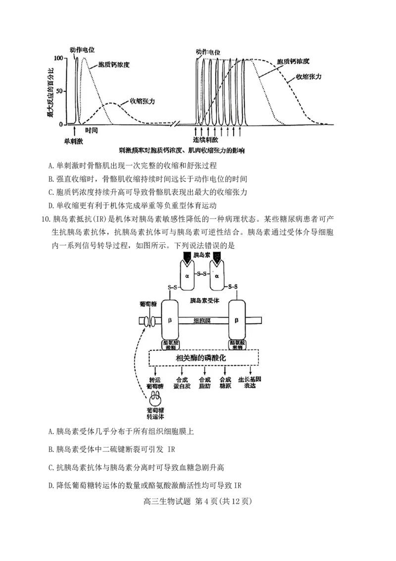 山东省滨州市2023-2024学年高三上学期1月期末考试生物试题_2024届山东省滨州市高三上学期期末考试_山东省滨州市2024届高三上学期期末考试生物