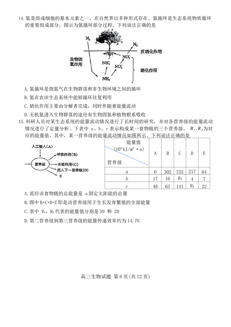 山东省滨州市2023-2024学年高三上学期1月期末考试生物试题_2024届山东省滨州市高三上学期期末考试_山东省滨州市2024届高三上学期期末考试生物