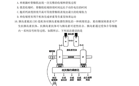 山东省滨州市2023-2024学年高三上学期1月期末考试生物试题_2024届山东省滨州市高三上学期期末考试_山东省滨州市2024届高三上学期期末考试生物