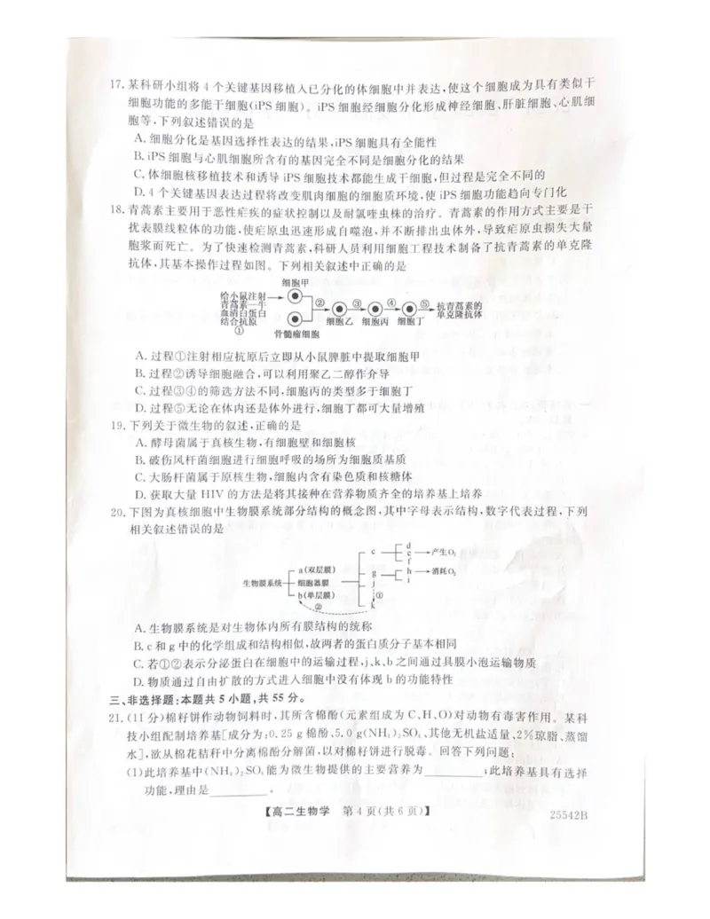 高二生物_2025年7月_250723吉林省白山市五校2024-2025学年高二下学期期末联考（全科）_吉林省白山市五校2024-2025学年高二下学期期末生物试卷