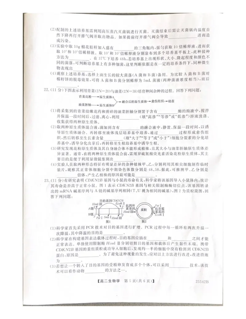 高二生物_2025年7月_250723吉林省白山市五校2024-2025学年高二下学期期末联考（全科）_吉林省白山市五校2024-2025学年高二下学期期末生物试卷