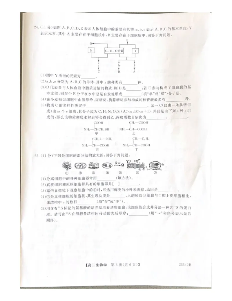 高二生物_2025年7月_250723吉林省白山市五校2024-2025学年高二下学期期末联考（全科）_吉林省白山市五校2024-2025学年高二下学期期末生物试卷
