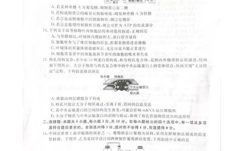 高二生物_2025年7月_250723吉林省白山市五校2024-2025学年高二下学期期末联考（全科）_吉林省白山市五校2024-2025学年高二下学期期末生物试卷