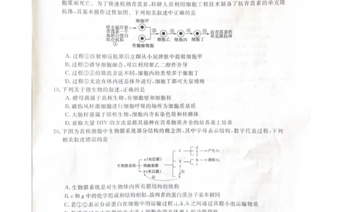 高二生物_2025年7月_250723吉林省白山市五校2024-2025学年高二下学期期末联考（全科）_吉林省白山市五校2024-2025学年高二下学期期末生物试卷
