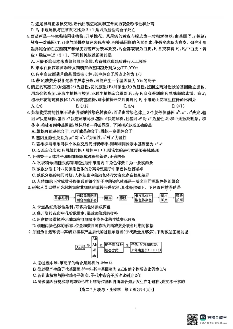 生物试卷-洛阳强基联盟高二7月联考_2025年7月_250713河南省洛阳市强基联盟2025年7月高二下学期期末联考（全科）_河南省洛阳市强基联盟2025年7月高二下学期期末联考生物