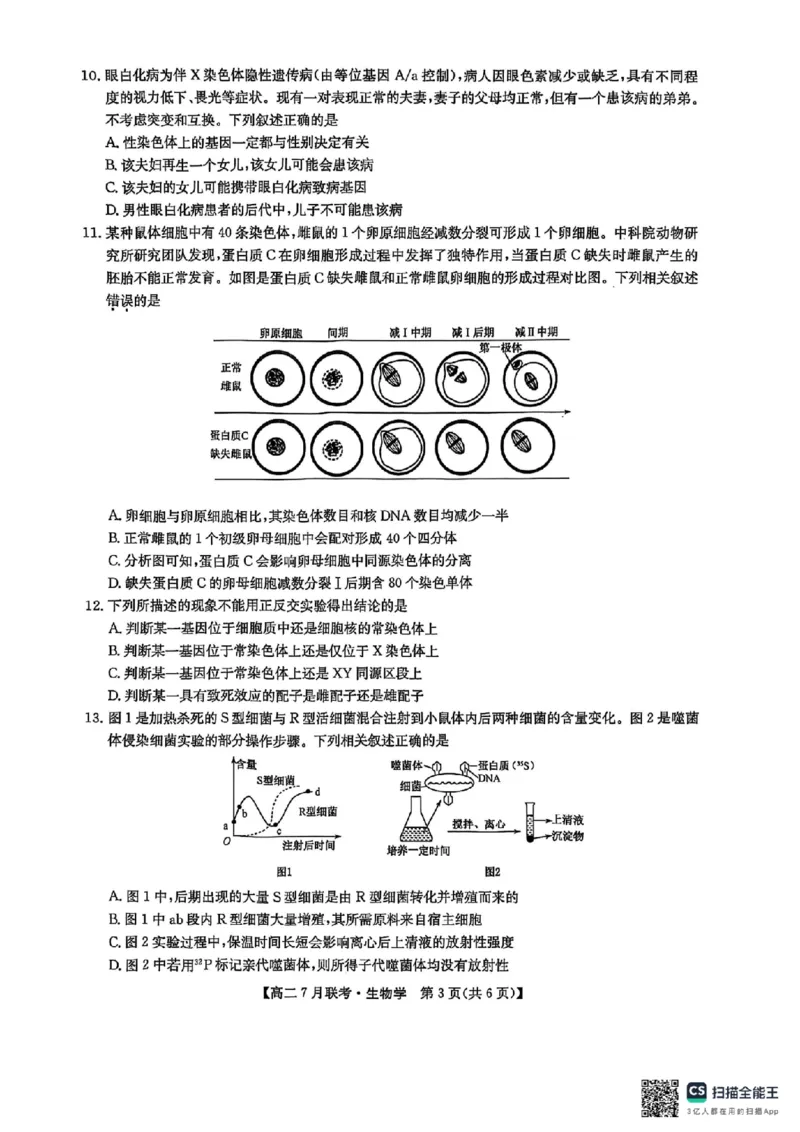 生物试卷-洛阳强基联盟高二7月联考_2025年7月_250713河南省洛阳市强基联盟2025年7月高二下学期期末联考（全科）_河南省洛阳市强基联盟2025年7月高二下学期期末联考生物