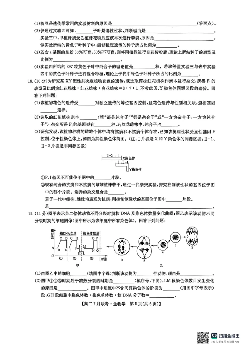 生物试卷-洛阳强基联盟高二7月联考_2025年7月_250713河南省洛阳市强基联盟2025年7月高二下学期期末联考（全科）_河南省洛阳市强基联盟2025年7月高二下学期期末联考生物