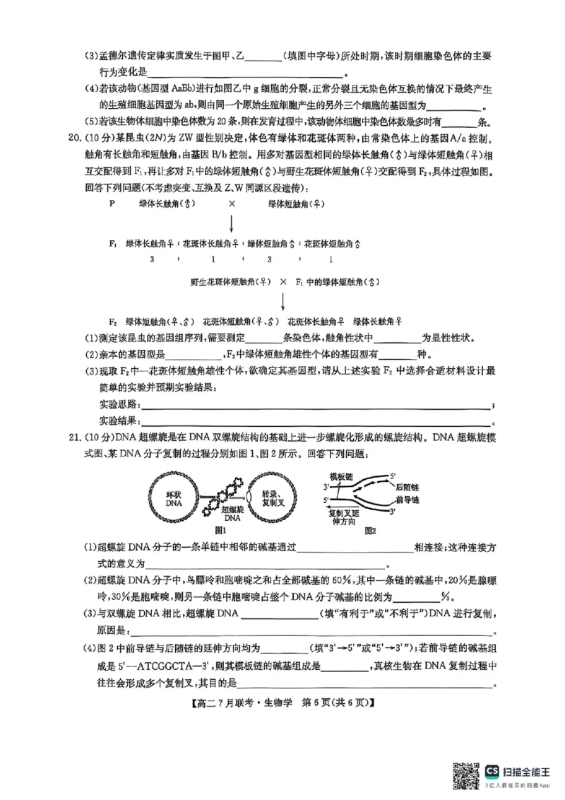 生物试卷-洛阳强基联盟高二7月联考_2025年7月_250713河南省洛阳市强基联盟2025年7月高二下学期期末联考（全科）_河南省洛阳市强基联盟2025年7月高二下学期期末联考生物