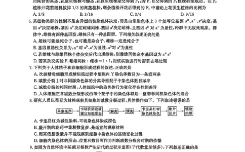 生物试卷-洛阳强基联盟高二7月联考_2025年7月_250713河南省洛阳市强基联盟2025年7月高二下学期期末联考（全科）_河南省洛阳市强基联盟2025年7月高二下学期期末联考生物