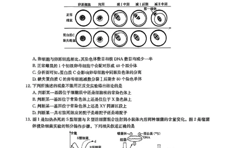 生物试卷-洛阳强基联盟高二7月联考_2025年7月_250713河南省洛阳市强基联盟2025年7月高二下学期期末联考（全科）_河南省洛阳市强基联盟2025年7月高二下学期期末联考生物
