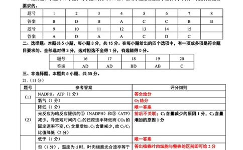 辽宁点石联考2025-2026学年高三上学期11月期中生物答案_251115辽宁点石联考2025-2026学年高三上学期11月期中试题
